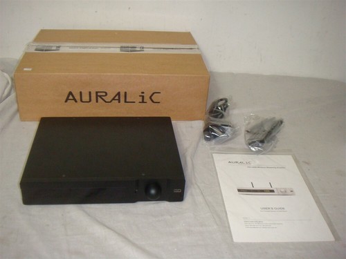 Auralic polaris amplificatore - auralic,