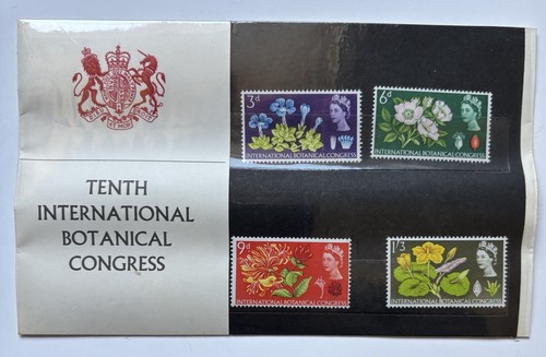 1964 confezione - -,