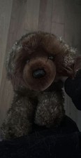 Douglas Leonberger carino