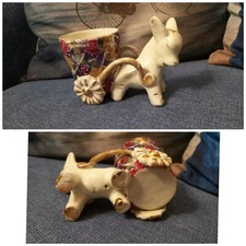 Vintage ceramica Asinello