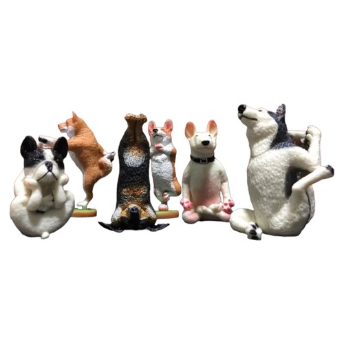 Statuina yoga cani - statuina,