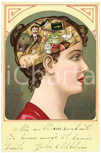 1908 frenologia cervello - frenologia, il