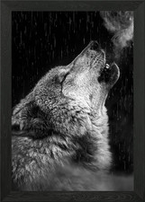 Poster arte parete - arte, con