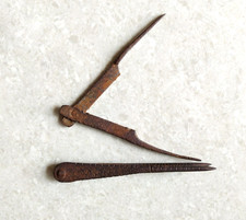 19c Antico Primitivo Fatto a