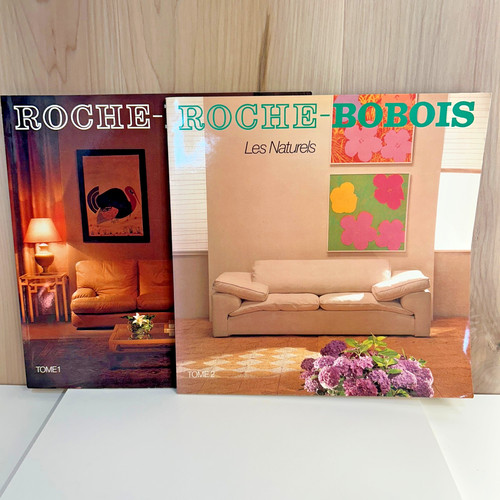 Rare x roche bobois - 2,