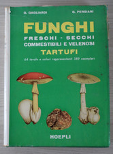Funghi freschi secchi - freschi,