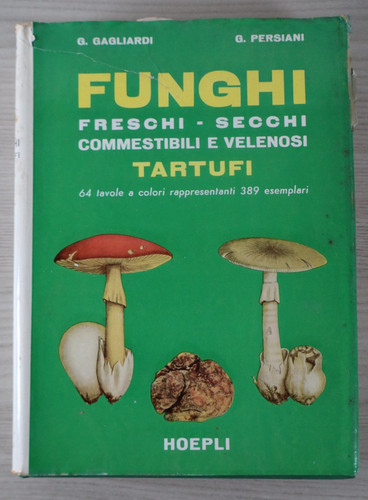 Funghi freschi secchi - freschi,