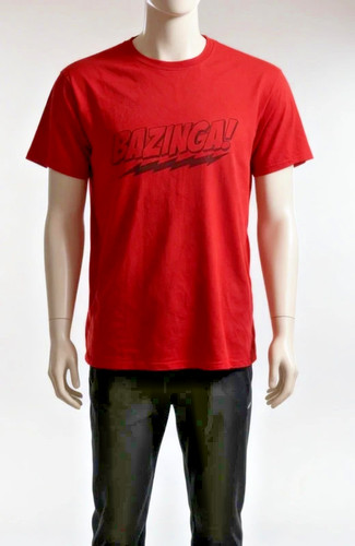 The big bang theory t - theory,