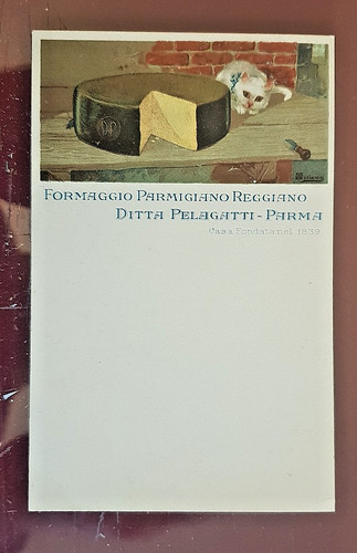 Cartolina pubblicitaria ditta - pubblicitaria,