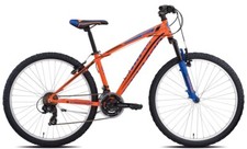 Bici torpado mtb - bici,