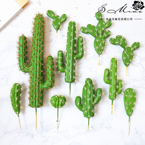 Pezzi mini piante cactus - 24,