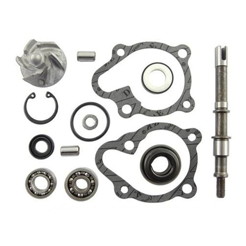 Aa00815 kit revisione pompa - aa00815,