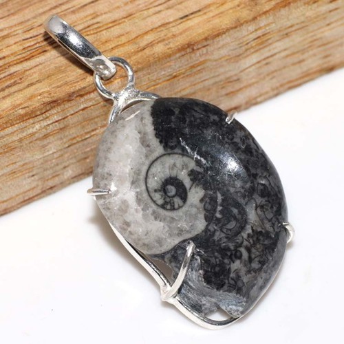 Raro ciondolo fossile ammonite