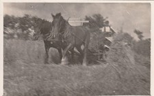 C1 - Cp Cartolina  Carro