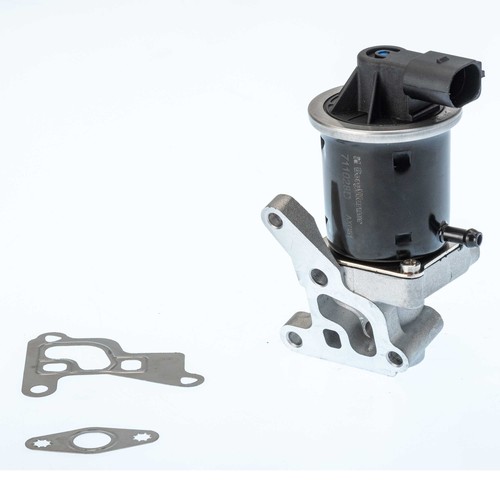 Borgwarner valvola egr - valvola,