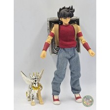 Saint Seiya Myth Cloth Appendix Pegasus Private 