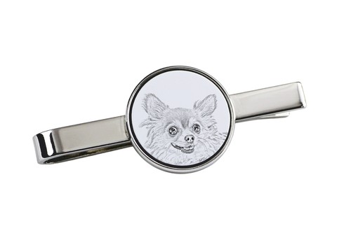 Chihuahua pelo lungo - chihuahua,