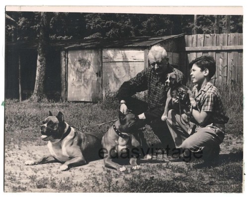 Famiglia cane cane animale