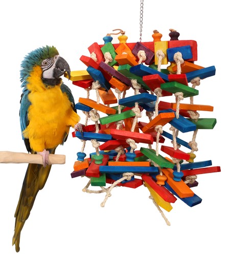 Rainbow parade grande - parade,
