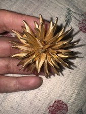 Spilla starburst riccio di