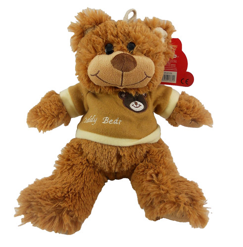 Orso orsacchiotto teddy - teddy, bear