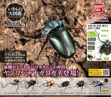 La diversità della vita sulla