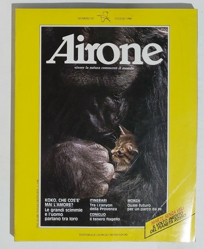02592 airone viii 87 - a., nr
