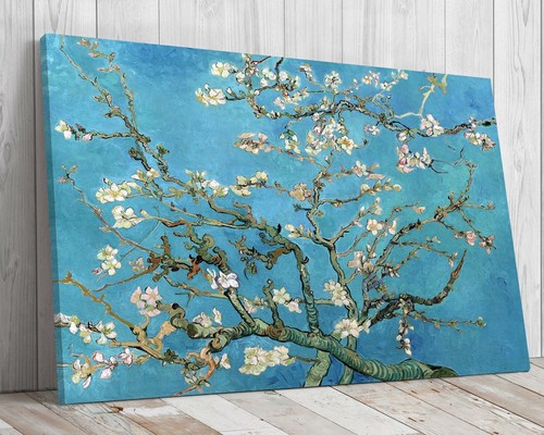 Fiori mandorlo vincent - mandorlo,
