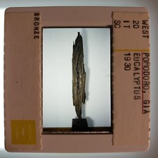 Gio Pomodoro Eucalyptus 1957