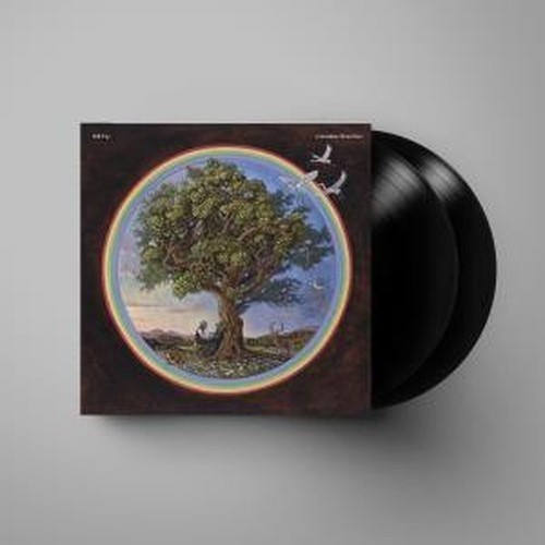 Bill fay countless - fay, branches