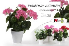 Pianta geranio con vaso - cm,