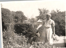 Donna giardino danimarca - in,