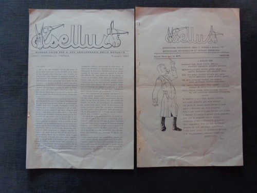 Goliardia liceo torricelli - goliardia,