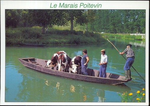 Marais poitevin trasporto - marais,