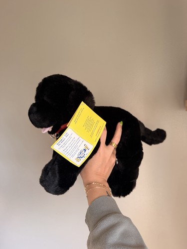 Peluche cane build bear - peluche,