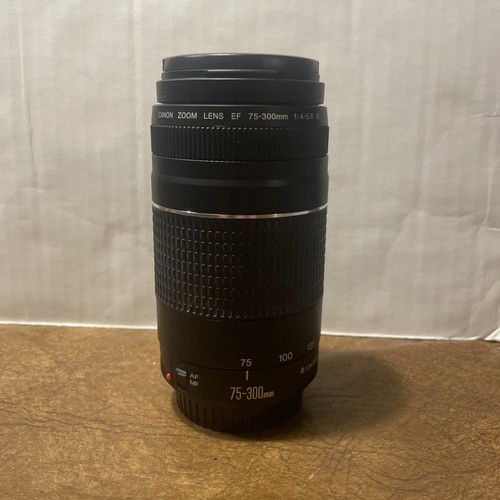 Canon 300mm 5 6 iii - canon,