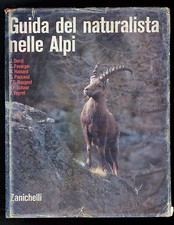 DORST FAVARGER HAINARD PACCAUD