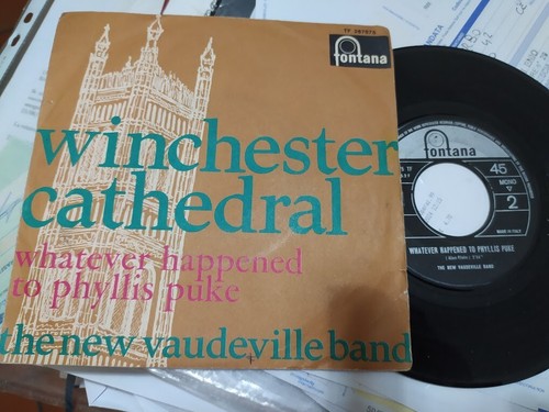 The new vaudeville band - the,