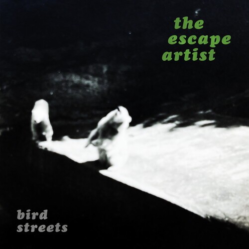 Bird streets the escape - bird,