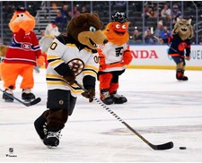 Blades Boston Bruins foto
