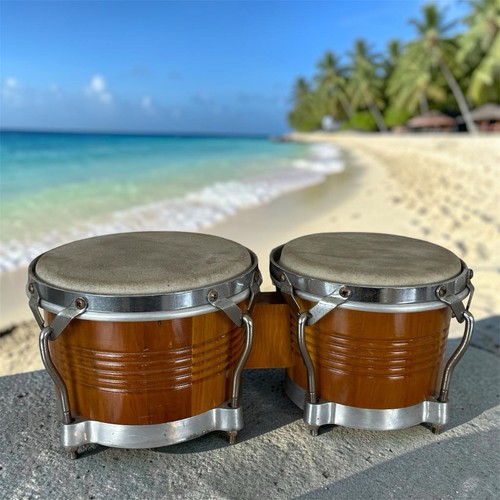 Ddrums bongos bonghi legno - ddrums,