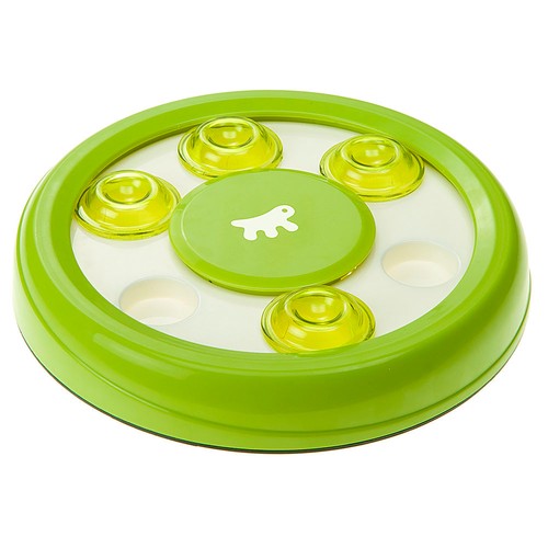 Gioco gatto gatti divertente