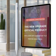 Penna stilografica per iPad