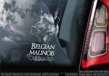 Adesivo auto belga Malinois -
