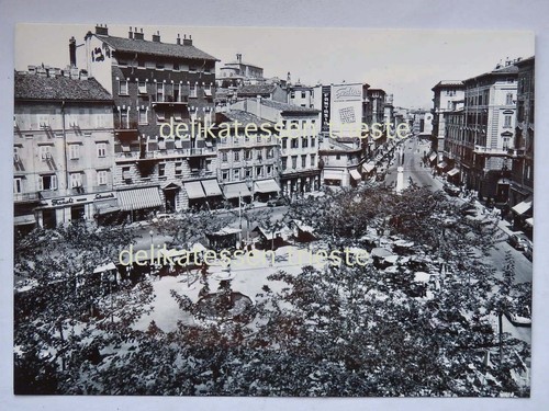 Trieste piazza garibaldi - trieste,