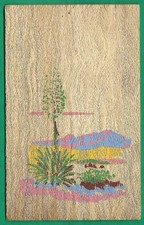 Yucca Legno (brevifolia) Scena