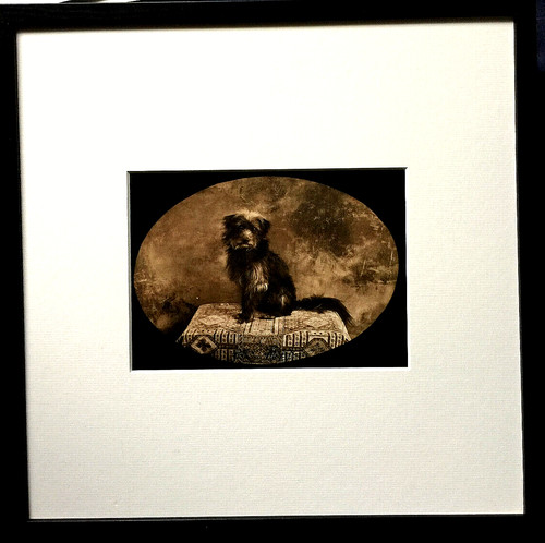 Jan saudek drifter doggie - jan,