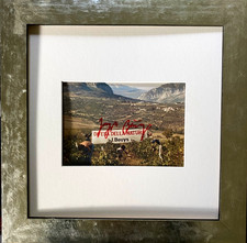 Joseph Beuys > Difesa Della