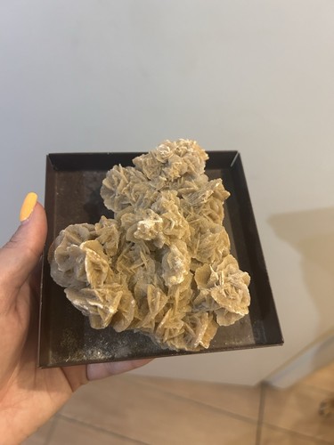 Rosetta del deserto