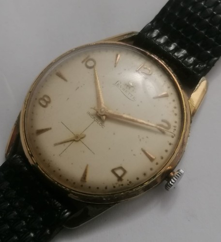 Levrette vintage - levrette,